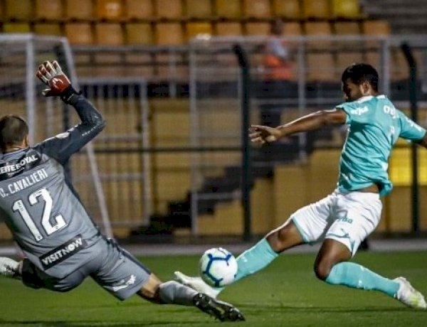 Palmeiras bate Botafogo e revê vitória depois de três partidas
